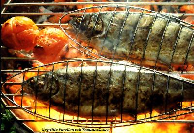 Gegrillte Forellen mit Tomatensauce